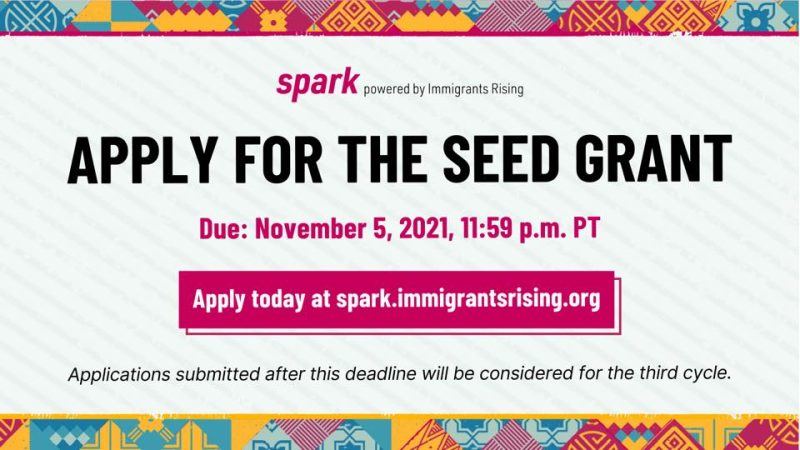 seed grant