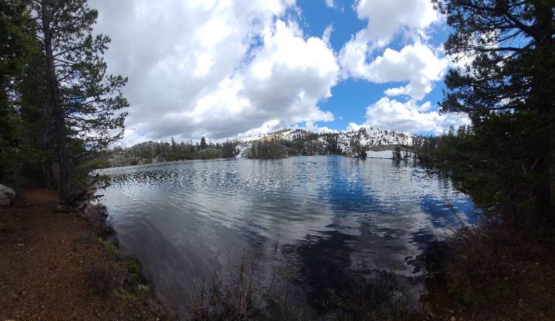 c5491eff-e035-4403-8ede-f70f48f275e6