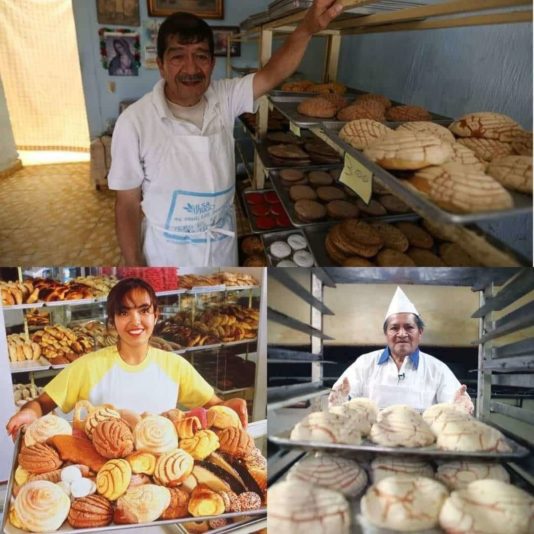 7ecbbca6-0092-46d8-a5e4-d9078aeaa717