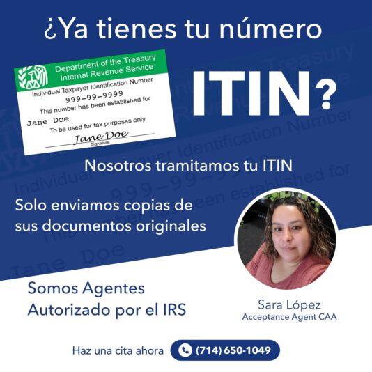 WhatsApp Image 2023-01-16 at 17.40.24