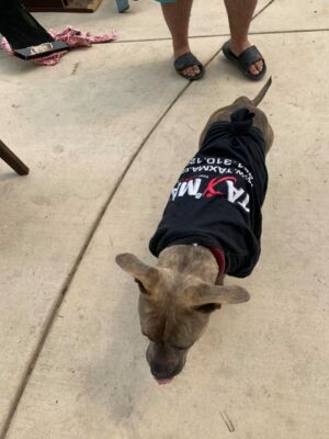 118155810_10224363839308419_9009610576592259345_n