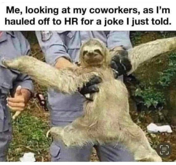 FB_IMG_1712678125099