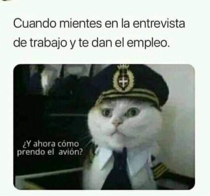 FB_IMG_1714761587693