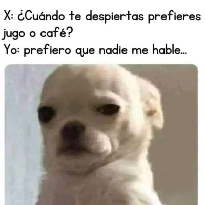 FB_IMG_1717908593820