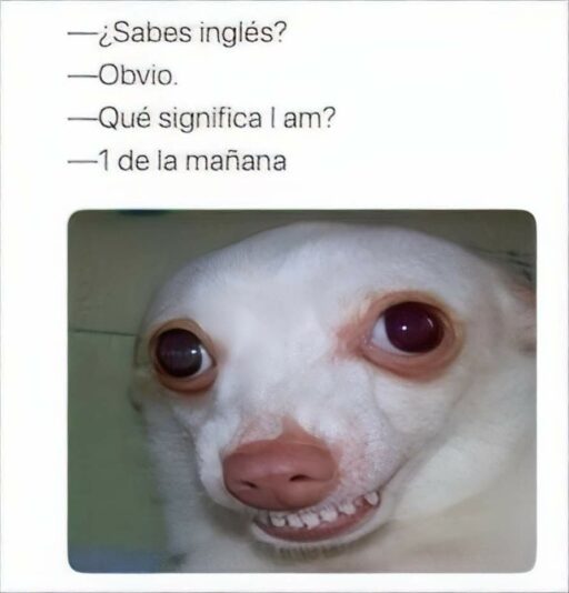 FB_IMG_1717775585947