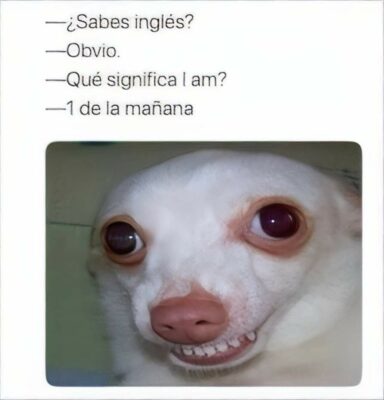 FB_IMG_1717775585947