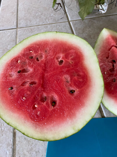 5B02F70B-9C29-4305-BDD9-F7E0B743C34D