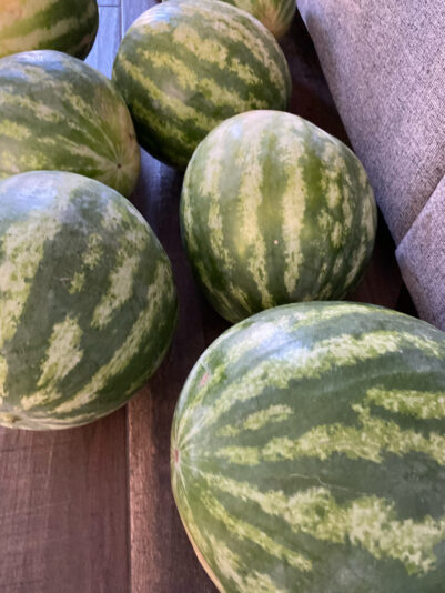 917F5F26-CBF5-4336-83E6-0F1626A34973