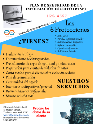 IRS Data Security Plan (SPA)