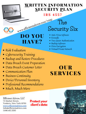IRS Data Security Plan (ENG)