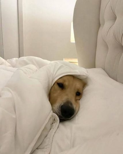 WhatsApp Image 2025-11-12 at 8.10.04 AM